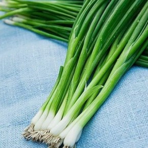 ��� ��������: ����������� ����� ��� ������ ���������� ������