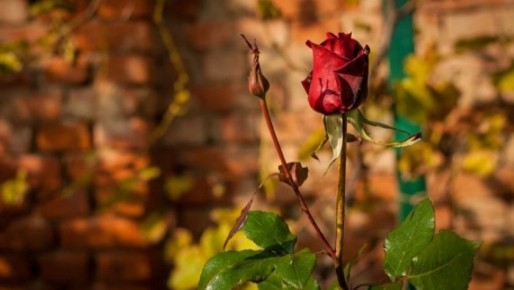 ��� ���������� � ����� � �������: ������� �������� �������