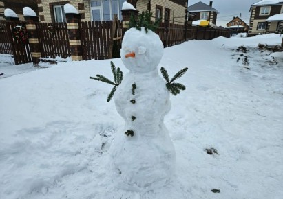 Как подготовиться к урожайному сезону: советы по садоводству в условиях капризной погоды