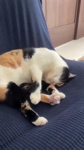 ��� ����� ������, ����� �� ���������, �� ����� ��� ����� ������ � ���