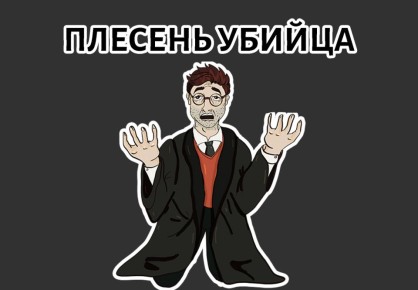 Плесень в доме: почему стоит обратить на это внимание прямо сейчас