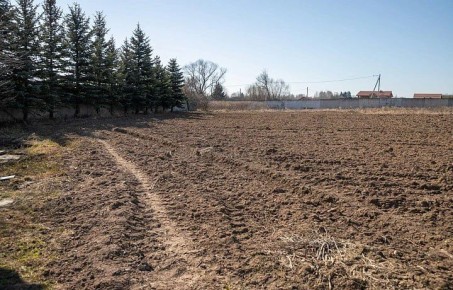 ����������������� ��������� �������� ������� �������� 10,6 ��� ���������� ������