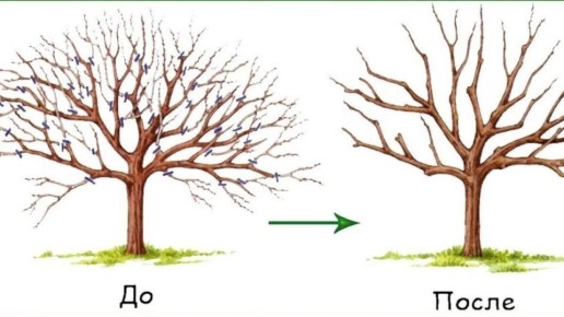 ��� ��������� �����: ������� ������� ��� ������� ������