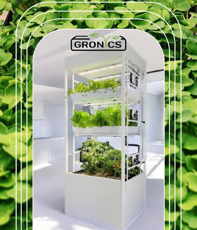 ���������� ����� ������ GRONICS: 30 ���� ����������� ������������