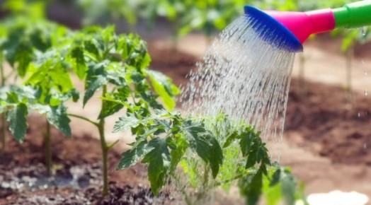 �������� ��������� �������: ������� ������� ��� ������ �� ��������