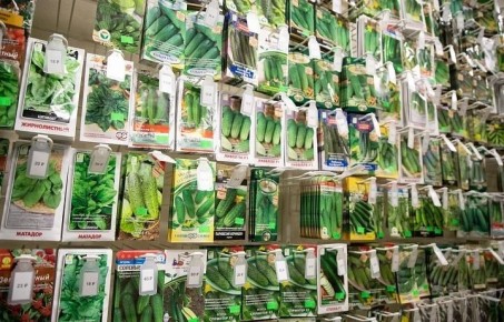 В Тульской области продавали семена огурцов и томатов, которых нет в Госреестре