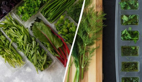 ������� ��������������� �������� ������ � ��������