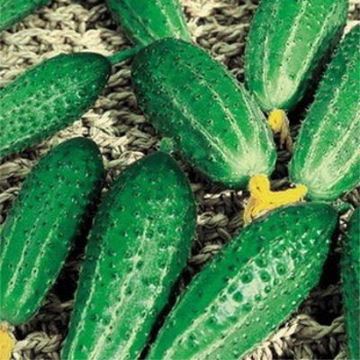 ������ ������: ��������� ������ � ����������� ����������������