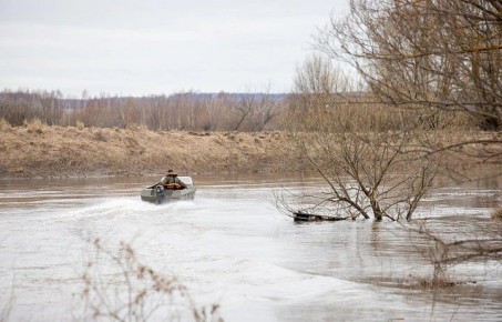 �� ���������� ������ �������� ��� �������� ������ �������� ������