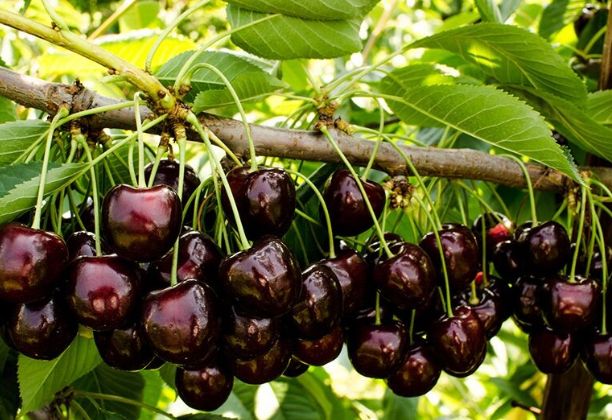 ��������� ����� ����� ��� ������ � ����� ����