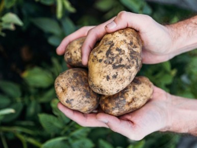 ��� ������� ����� ������� ������� �� �������� � �������� ����� ����� �����