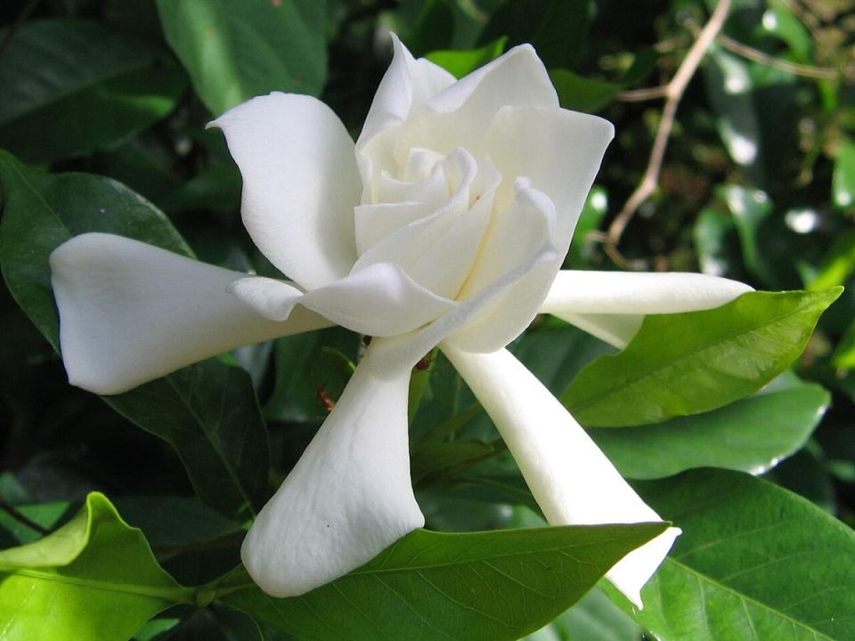 ��� ��������� ����������� ��������: ������� ����� ��� ��������� �������