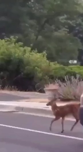 � ��, � �� ��� ����� ��������? ���������, ���������, � ������ ������ ���, ����� ���� ����������