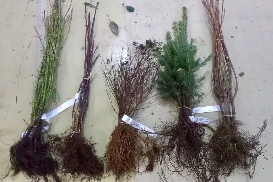 ��� ������ � ��������� � �������� �������� ��������, ���� ����� ��� �� �������