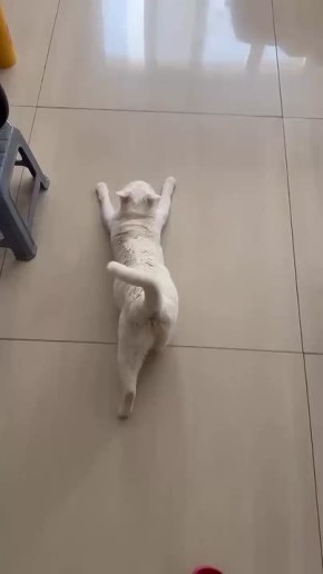 ������� ������� ����������?