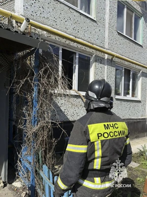 � �������� �������� ������ 14-������ ������� �� ������� ��������