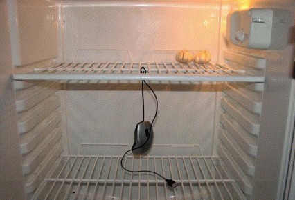 ��� ��������� �������� ��������� � ������������ �����: ������ ���������