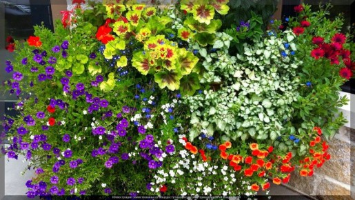 ���������� �������� ��� ��������� �����: ��� ������� ������� ������� � ���������