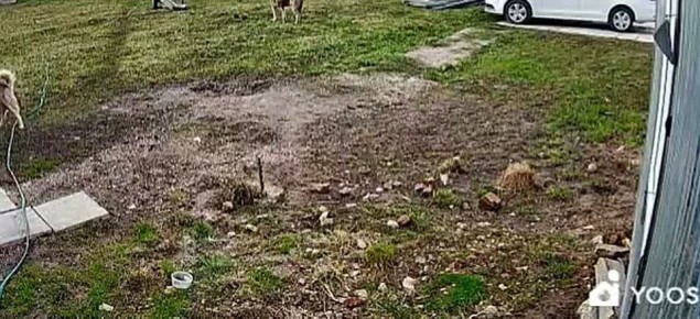 ��� ��� ��������, ��� ����� �������: ����� ����� ������ �������� ����� ������ ������� �� ��������� �������