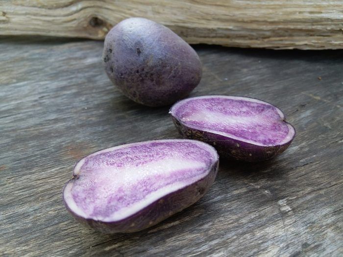 ��������� ������: ���������� ������ ����������� ��������