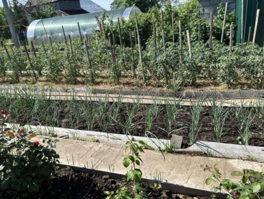 ˸� �� ����: ������ ����� ��� �������� � ��� ������� ������������ ������