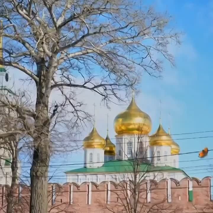 ��� ������!. 25 ������ � �������� ������� ��������� ������������� ���������, ������� �������� �������� �������