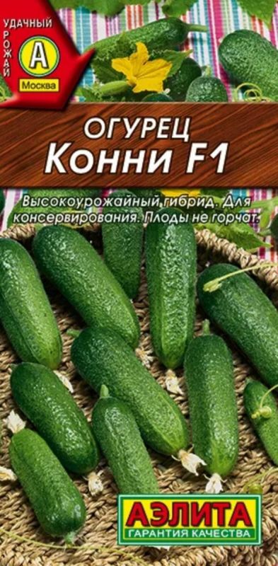 ��������� � ������� ������: ����� ���������� ������ ��� ������ �������