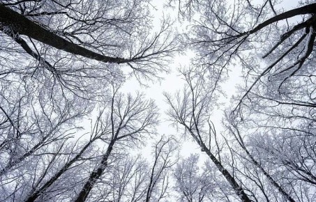 ������� ����� �������� �� 16 �/� ������� �������� ������� 24 ������