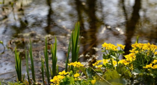 � �������� ������� 24 ������ ��������� ������� �����