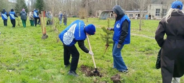 ������� ������: ���������� ���� � �������� �����