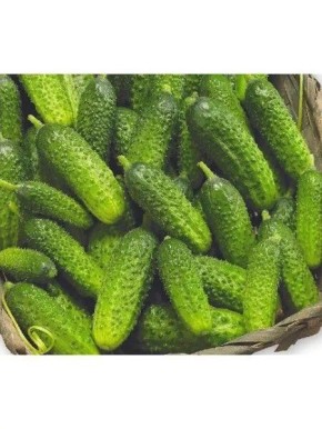 ������ ��������: ������������� ���� � ������� ������� ��� ����� ������