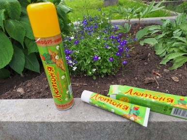 ����������� ������ �� �������: �������������� � ������ ������� �������� "������"