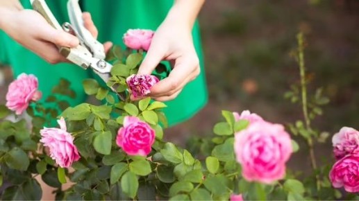 ������� ������� ������������� � �������: �������� ������ ��� ����