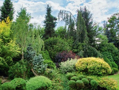 �������� � ����: ��� ������� ���������� �������