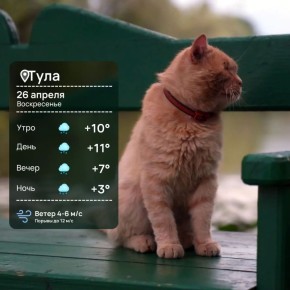 ������ ����. ������� ��� ������, ��� �����: �������� ����������� �������� �� +11 ��������