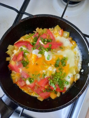 �������� �����: ��������� ����������� � �������������� �������