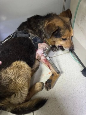 ������� �����!. �� ������ + � ����� ��� �����, ��� ������