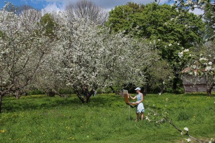 ������������� �������: ���������� ����� ������