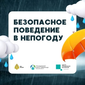 ������� ������ ������. ������� �����, ����� � ������ ���� ����� ������� ��������