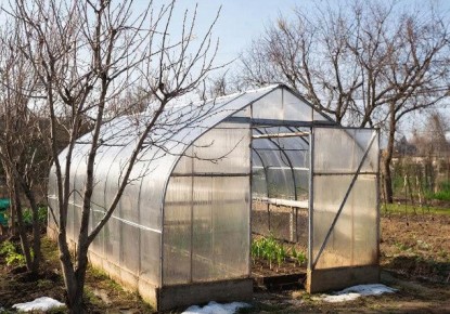 ������ ������� �� �����������: �������� ����������� �������