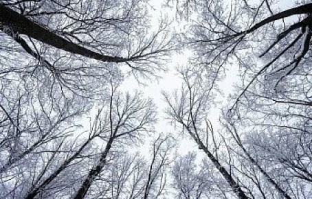 ������ �� 28 ������. ����� ��������: 04:59