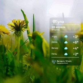 ������ ����. ������� ����� �������, ������� �������� ������ ����