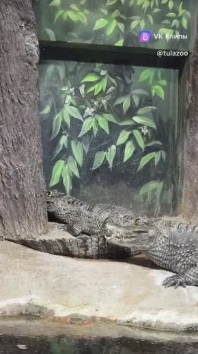 � � ����������� ������������ ����� ����� �. �. ��������� ������ ����� ��� ���������