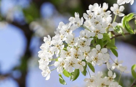 � �������� ������� ����� ����������� ��������� � �������� ��������� �� +18