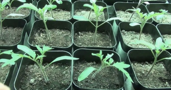 ������ ������� �������� ����� ��������� � ��� � �������