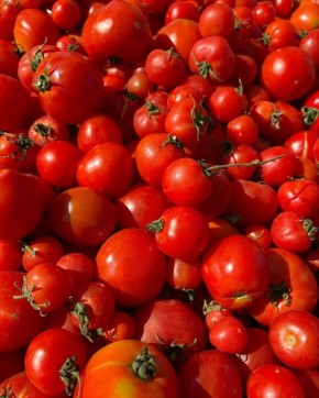 �������� ��� ������ �������� ������: �������� ������������