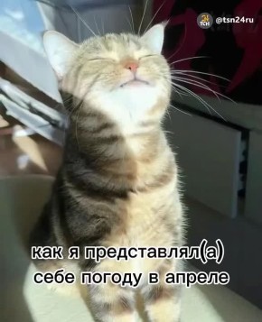 ���, ������, ����� ������� ���������