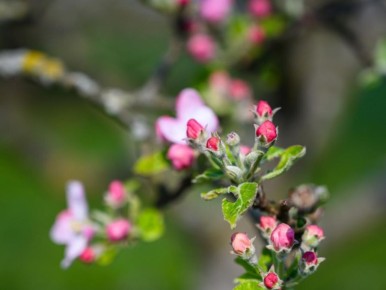 ������ ������ ������ � ��������: ����������� ������� ��������