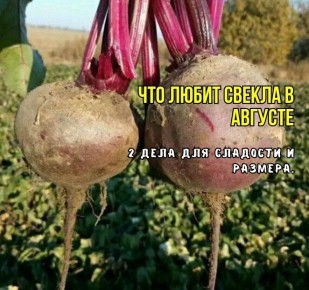 ��� ��������� ������� � ������� ������: ������� ��������������