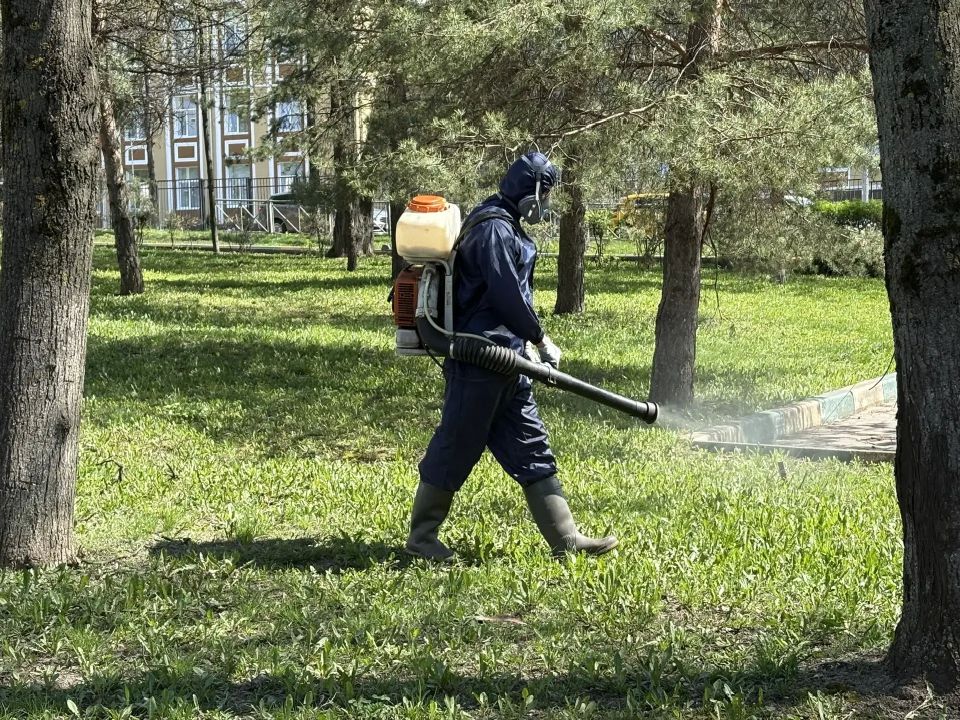 Илья Беспалов: В Туле проводят акарицидную обработку общественных пространств Илья Беспалов: В Туле проводят акарицидную обработку общественных пространств